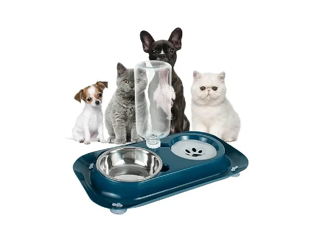 Maharaj Mall RXZER23 Plastic Pet Bowl & Bottle