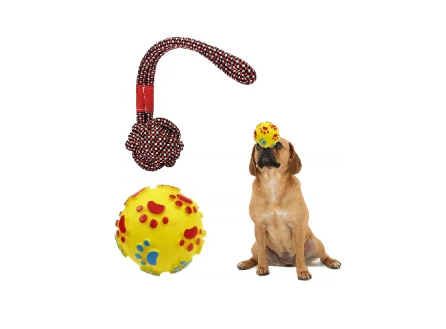 Rvpaws Rubber Ball For Dog