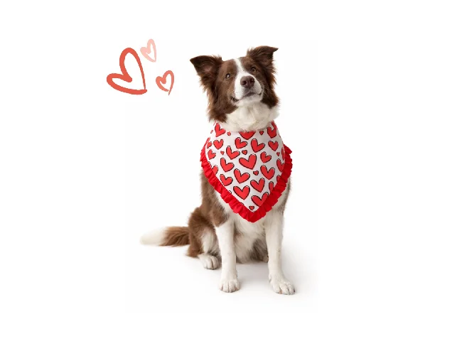 Dog-O-Bow Bandana for Dog