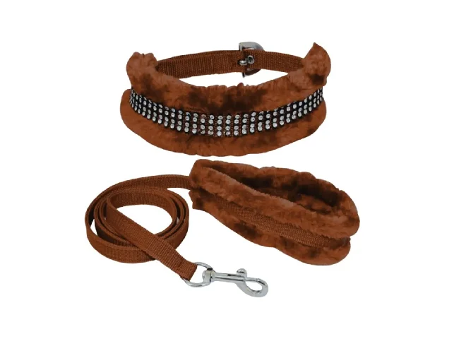 Pawxie Dog Collar & Leash