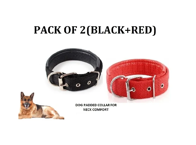 Hachiko Dog Collar & Leash