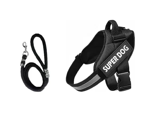 Tame Love Dog Harness & Leash