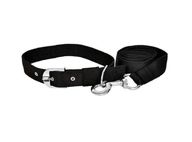 THE PETS POPULAR Leash Collar Set Dog Collar & Leash