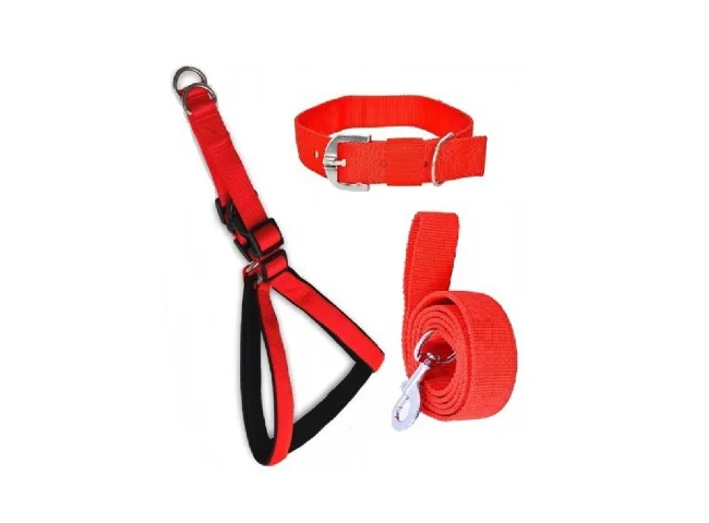 DYS Pets Dog Harness & Leash
