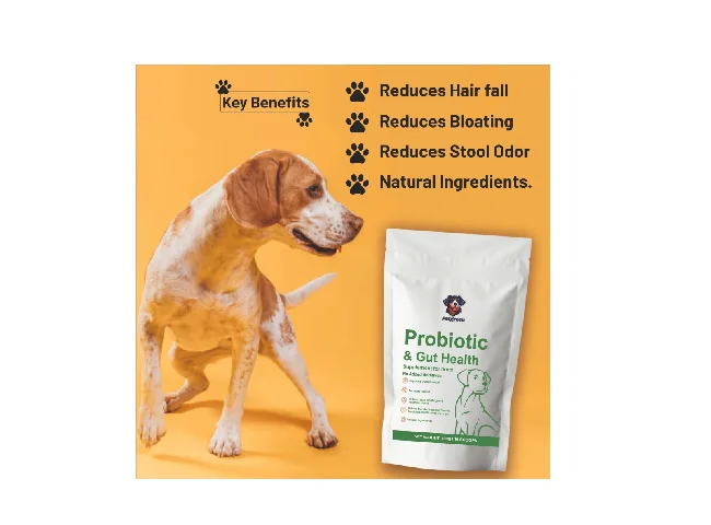 PETGREEN P001 Pet Health Supplements