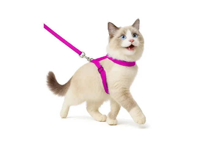 Basic Plain Cat Harness with Leash | Escape Proof | Adjustable type