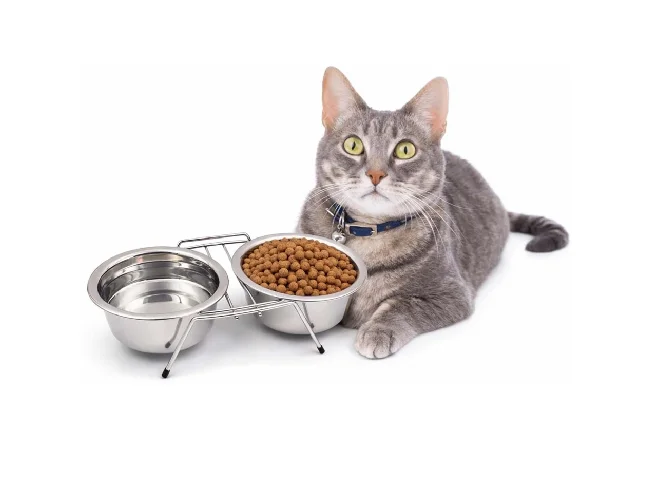 Pets Double Elevated Food and Water Stand Bowls Dinner Bowl