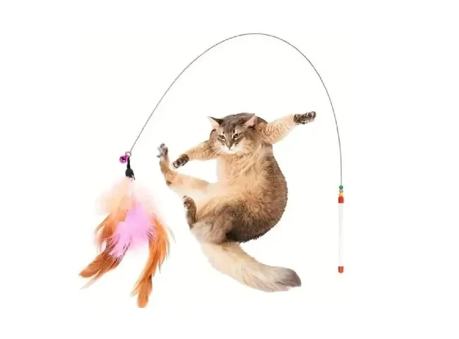 Colorful Cat Wand Toy with Natural Feather and Bells | Keep the Cat Enagaged Steel Stick For Cat