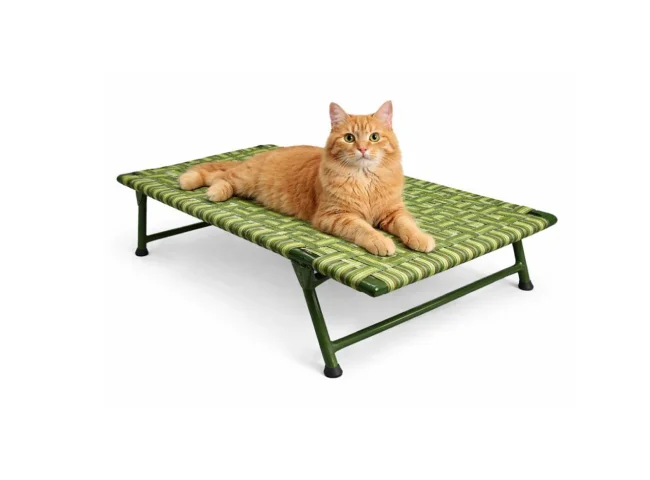 Elevated Cat Bed with Green Fabric | Foldable Metal Pet Cot for Cats L Pet Bed (Multicolour)