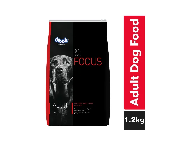 Drools Focus Super Premium Chicken 1.2 kg Dry Adult Dog Food 1.2 kg Dry Adult, Young Dog Food