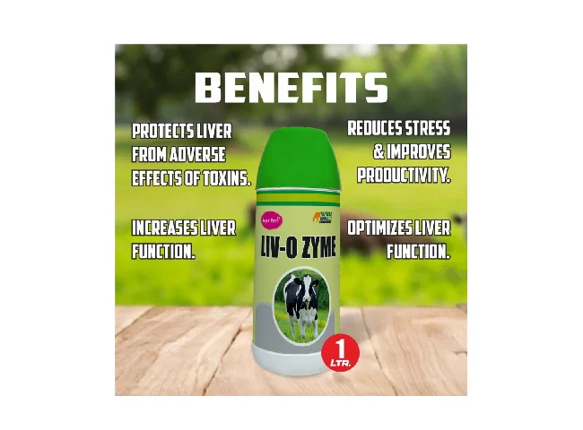 LIV-O Zyme | Ayurvedic Liver Tonic & Digestive Enzyme Syrup for Cows, Goats Pet Health Supplements (1 L)