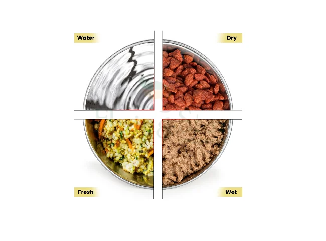 Home Bargains Stainless Steel Pet Bowl